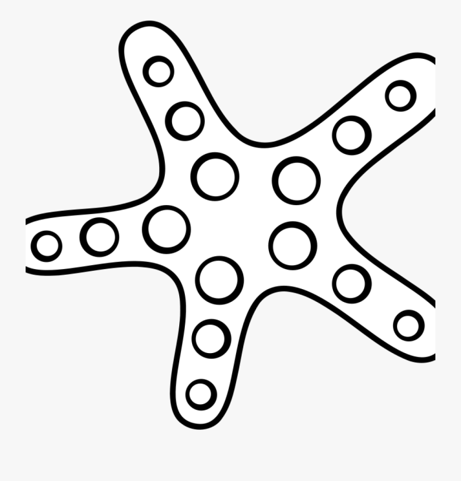 Transparent White Starfish Png - Cartoon Star Fish Starfish Drawing, Transparent Clipart