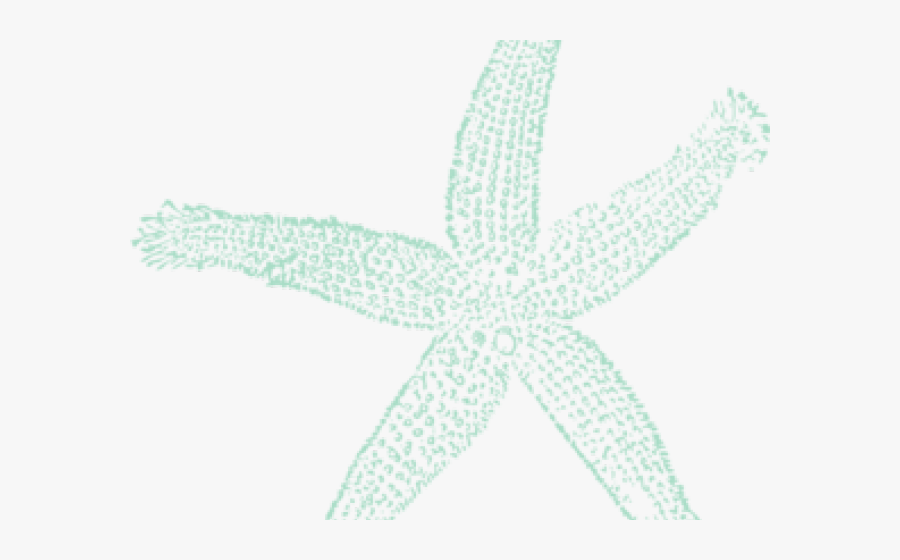 Starfish Clipart Blue Starfish - Clip Art, Transparent Clipart