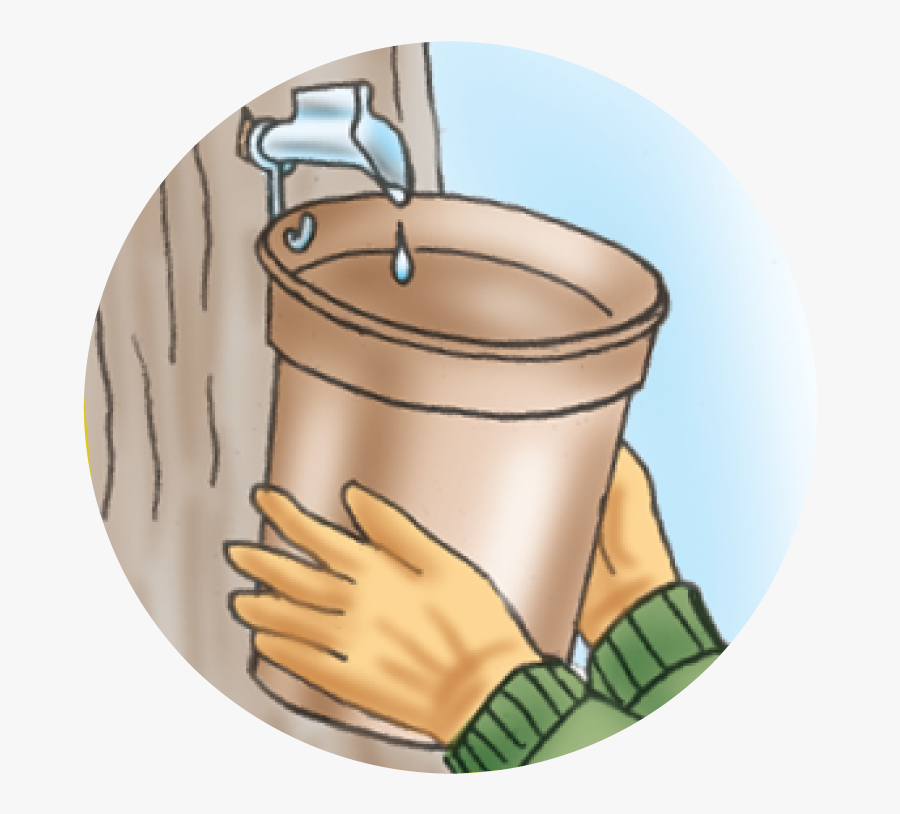 Transparent Maple Syrup Png - Illustration, Transparent Clipart