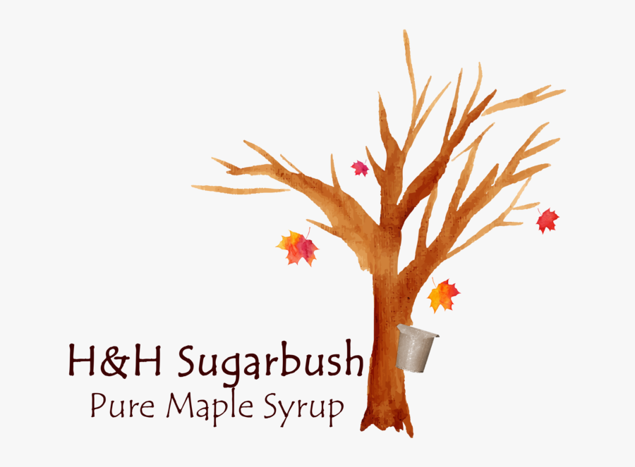 Hh Sugarbush Color Logo, Transparent Clipart