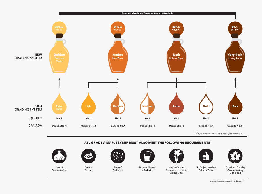 Maple Syrup Production Process, Transparent Clipart