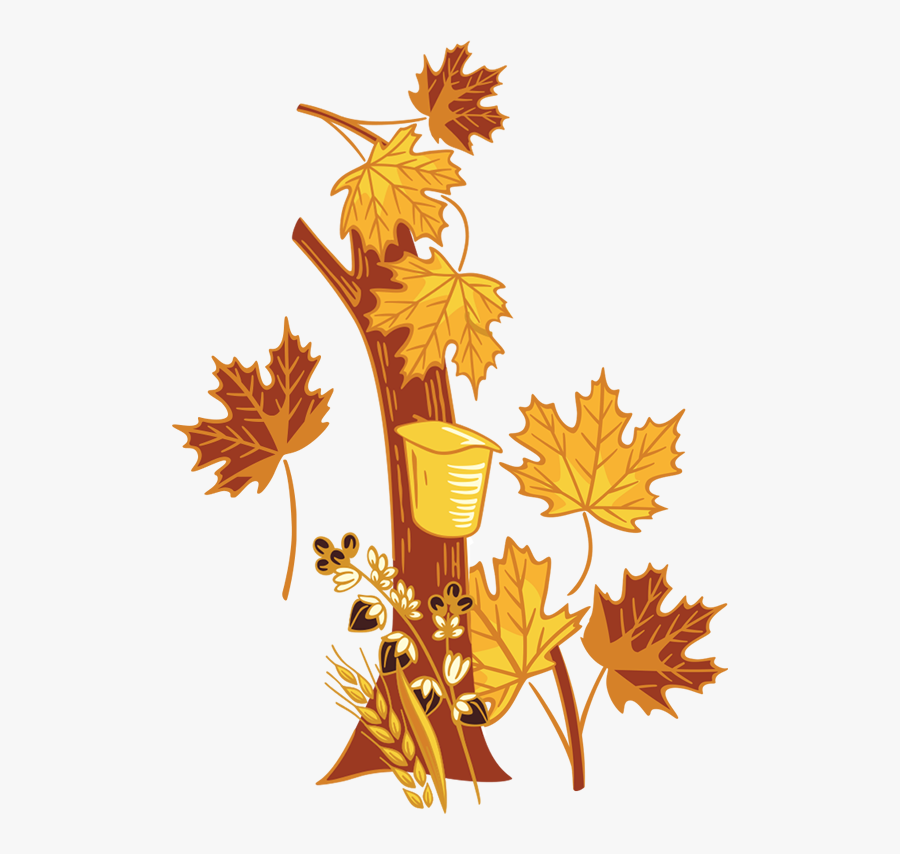 Autumn, Transparent Clipart