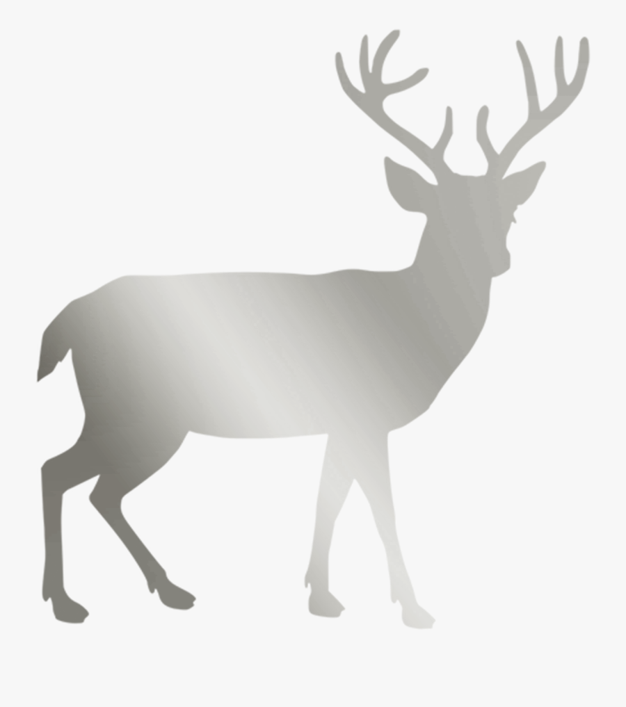 Vacation, Silver, Stag, Deer, Christmas, Animal, Transparent Clipart