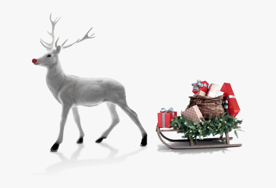 Transparent Christmas Deer Png - Santa Claus's Reindeer, Transparent Clipart