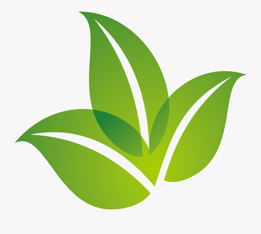 Logo Design Leaf Green Spring Free Transparent Image - Hojas Verdes Dibujo Png, Transparent Clipart