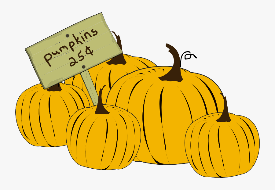 It S Time Eye - Pumpkin, Transparent Clipart