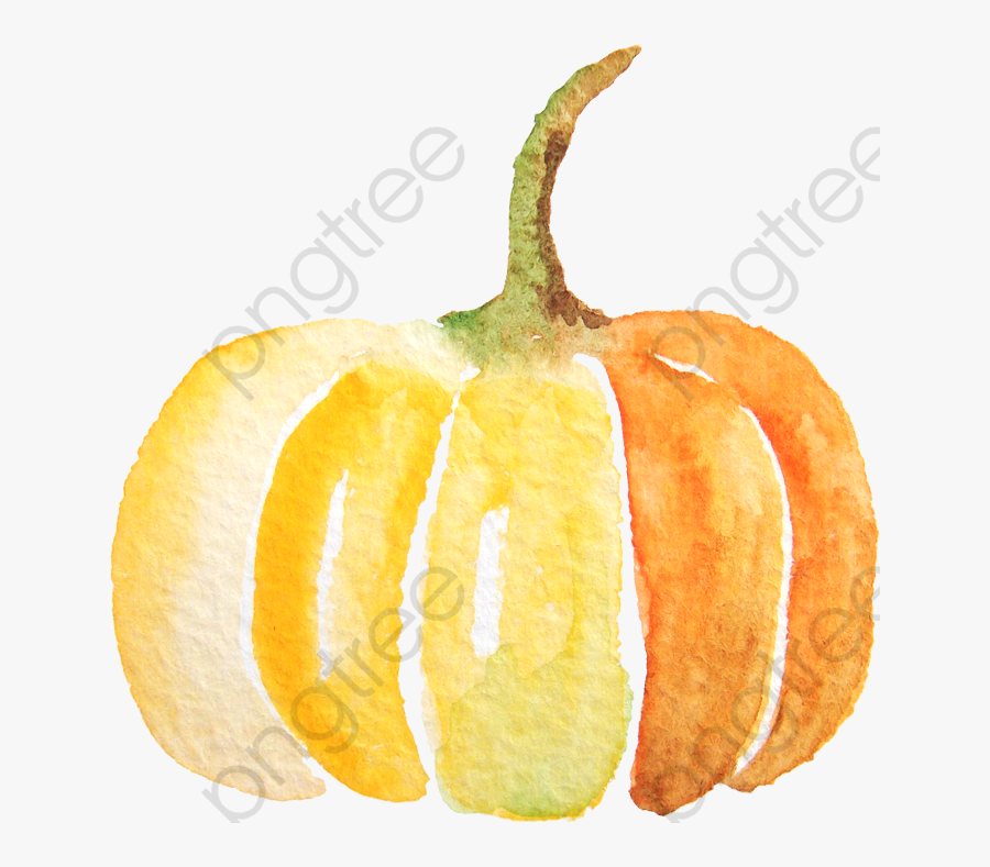 Pumpkin Clipart Small - Watercolor Pumpkin Clipart Png, Transparent Clipart