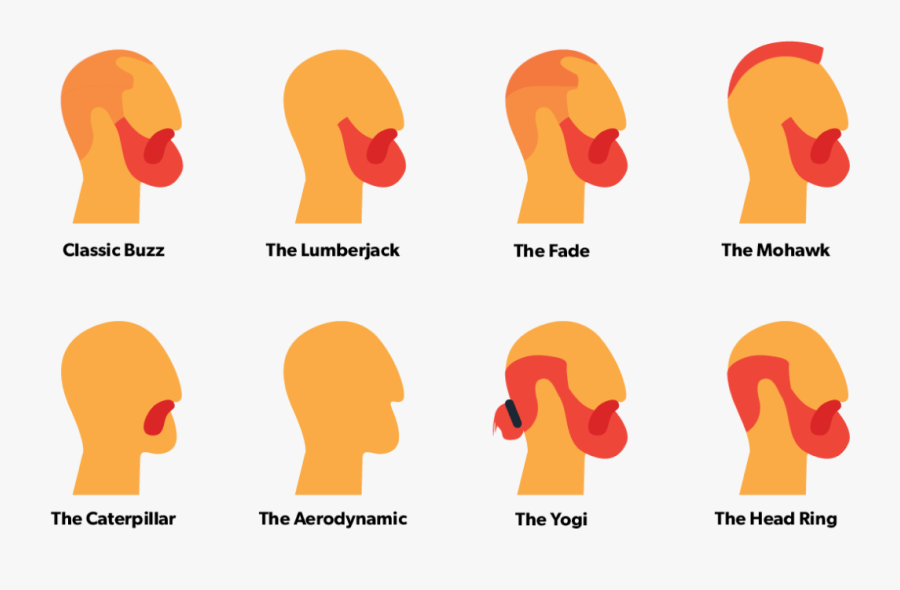 Clip Art, Transparent Clipart