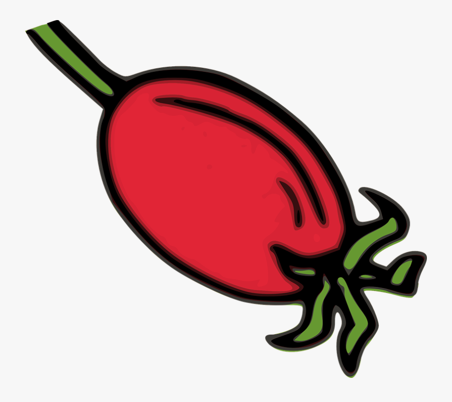 Rose Hip Fruit - Rosehip Clipart, Transparent Clipart