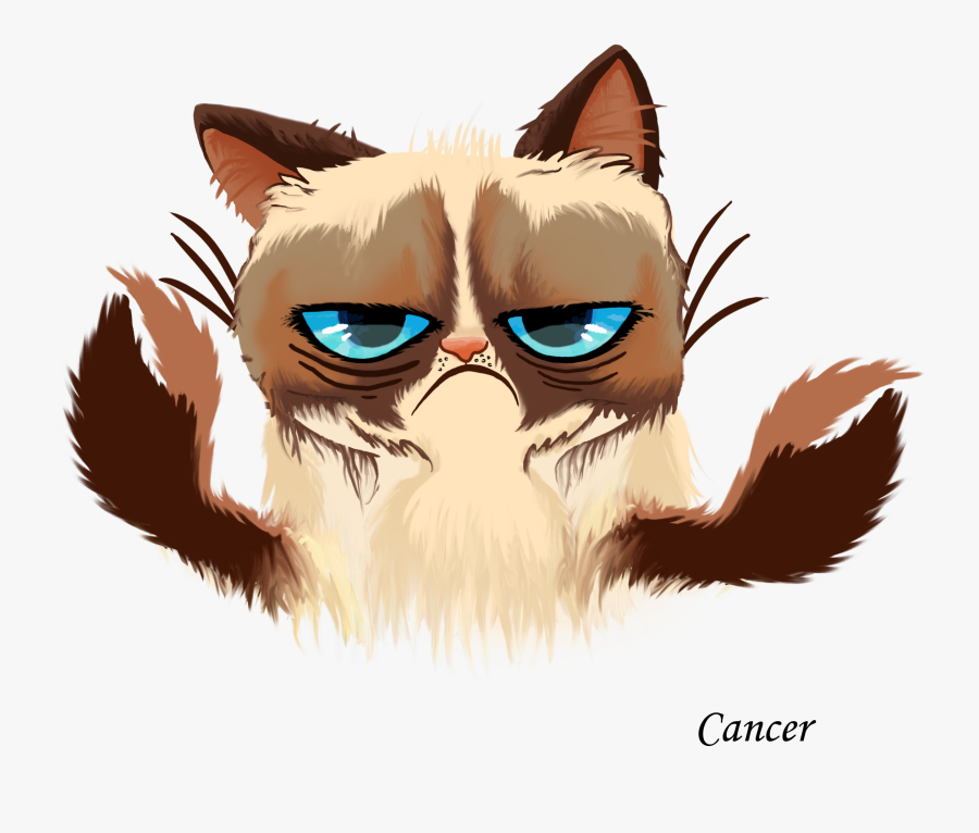 Grumpy Cat Kitten Cats And The Internet - Grumpy Cat Free Vector, Transparent Clipart