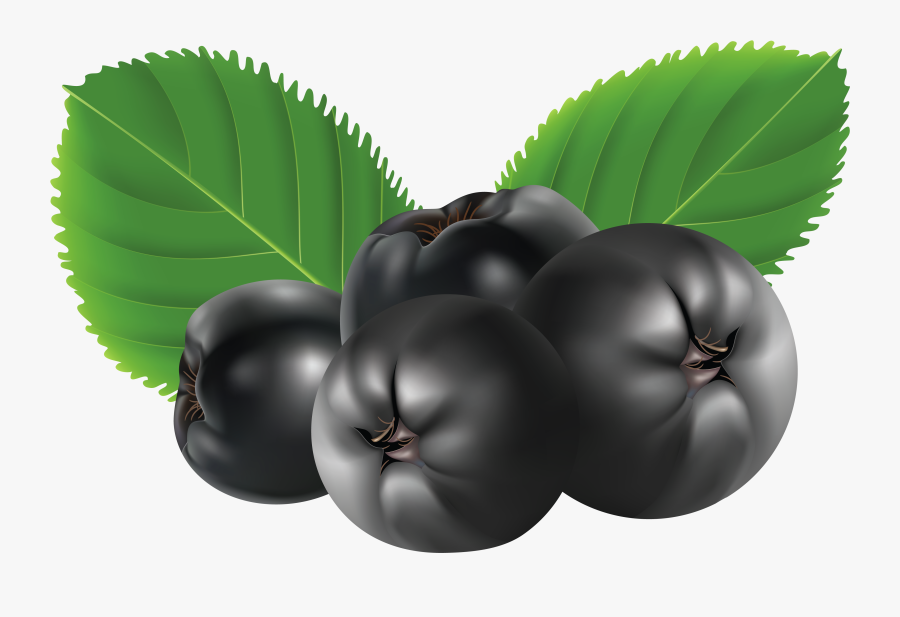 Berries Clipart - Chokeberry Png, Transparent Clipart