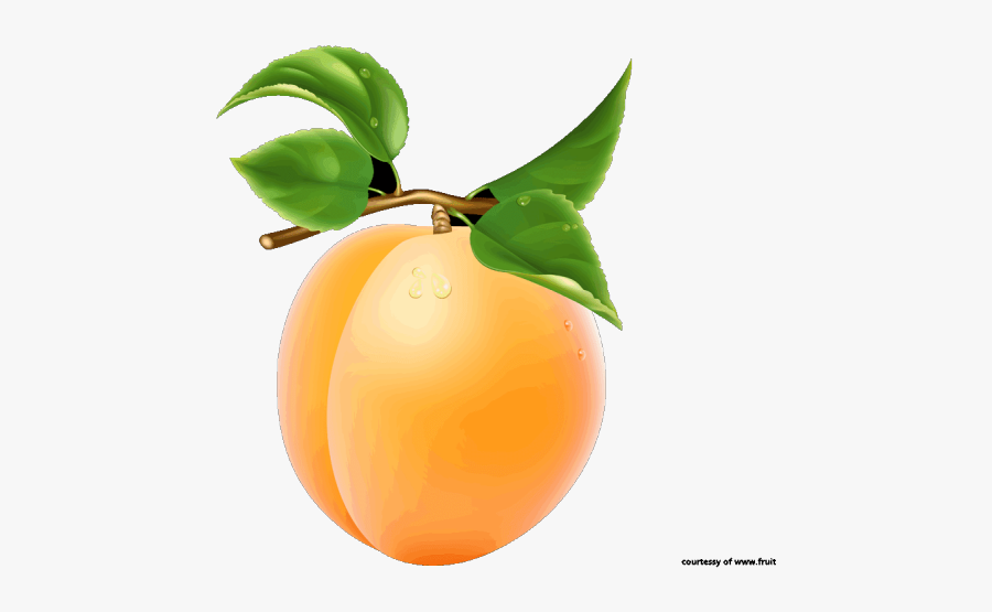 Single Fruits Images With Names, Transparent Clipart