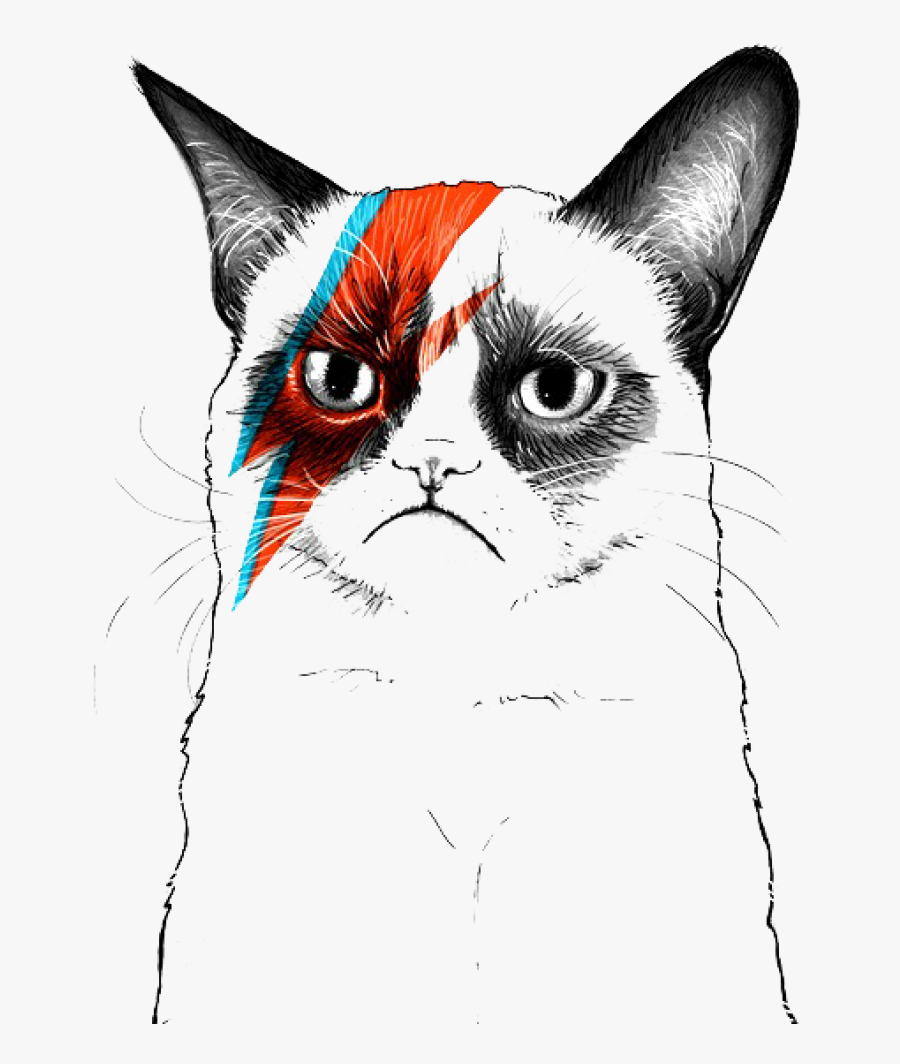 Grumpy Cat Musician Artist - Bowie Cat, Transparent Clipart