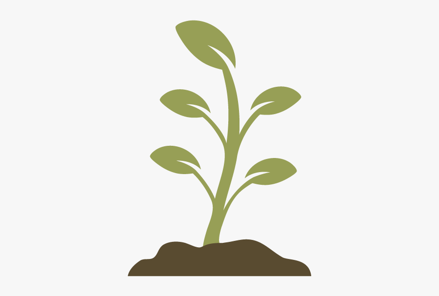 Sustainability - Plant Png Black And White, Transparent Clipart