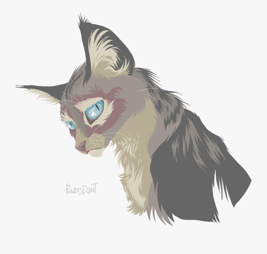 Kitten Whiskers Cat Drawing Art - Kitten, Transparent Clipart