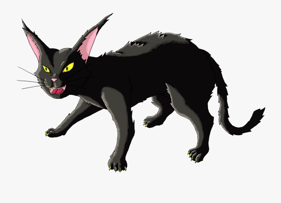 Angry Cat Png, Transparent Clipart