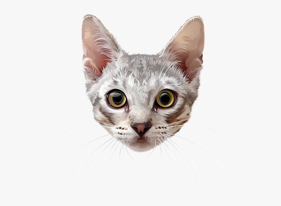 Cat Face Png - Cat Face Transparent Background, Transparent Clipart