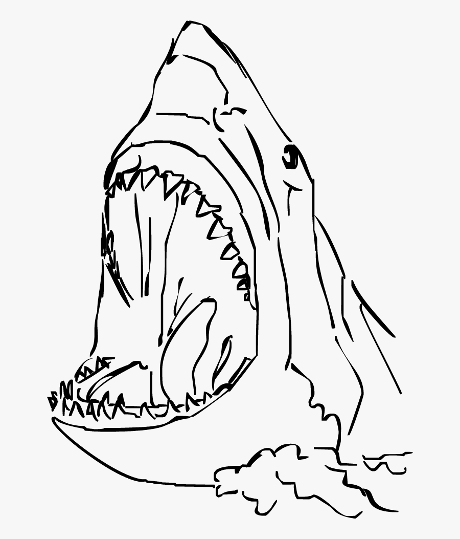 Drawing Sharks Easy Huge Freebie Download For Powerpoint - Simple Shark Head Drawing, Transparent Clipart