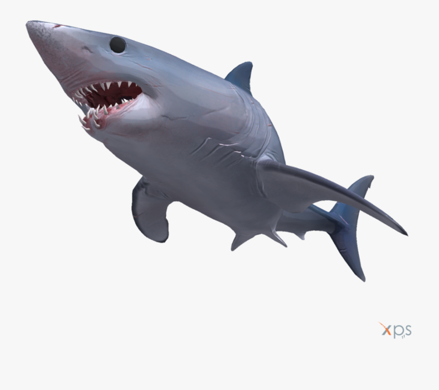 Mako Shark 3d Model, Transparent Clipart