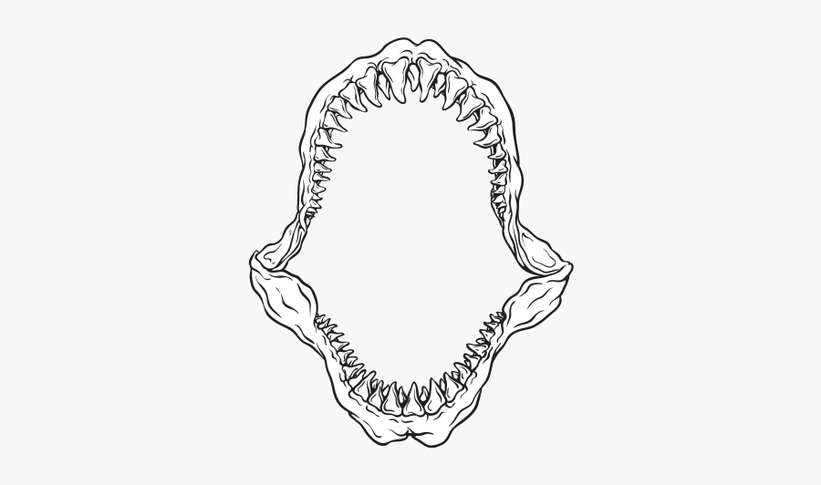 Collection Of Free Jaws Drawing - Great White Shark Jaw Drawing, Transparent Clipart