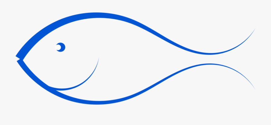Fish Art Png, Transparent Clipart