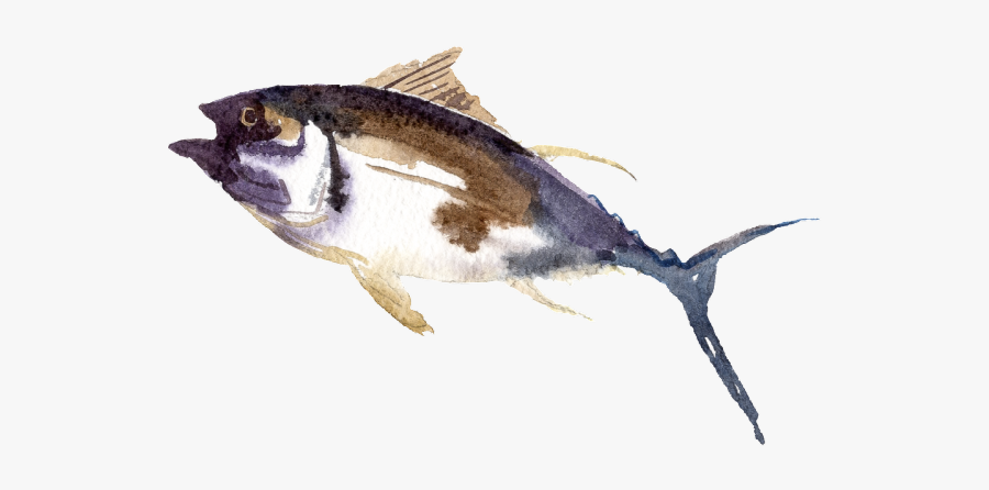 Penguin, Transparent Clipart