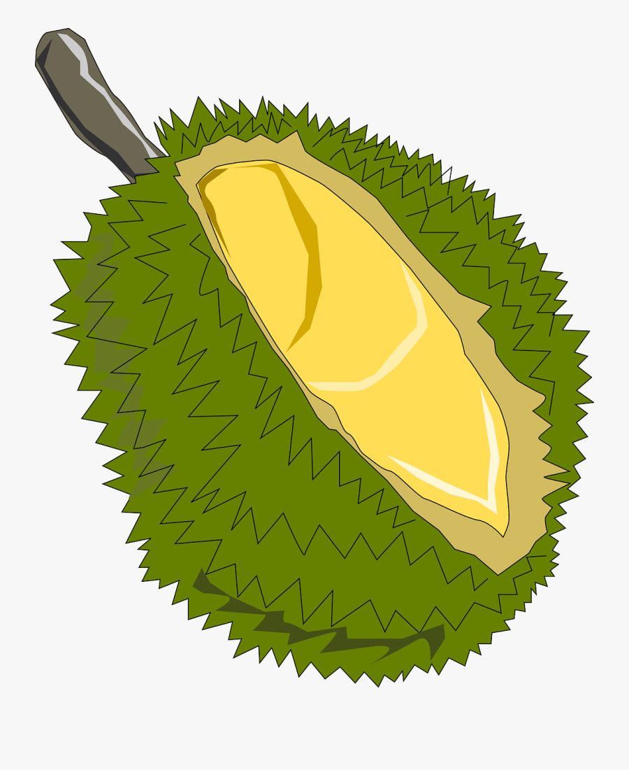 Jackfruit Fruit Exotic Soursop Png Image Jack Fruit Clipart , Free