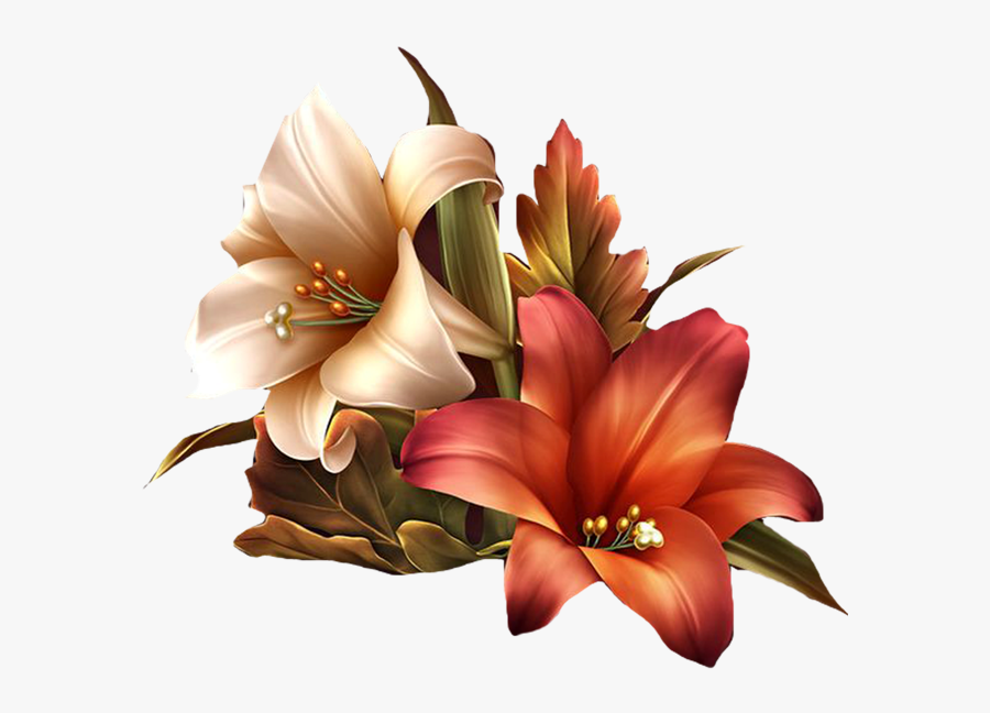 Amaryllis Drawing Christmas Flower Huge Freebie Download - Lilies Flower Png, Transparent Clipart