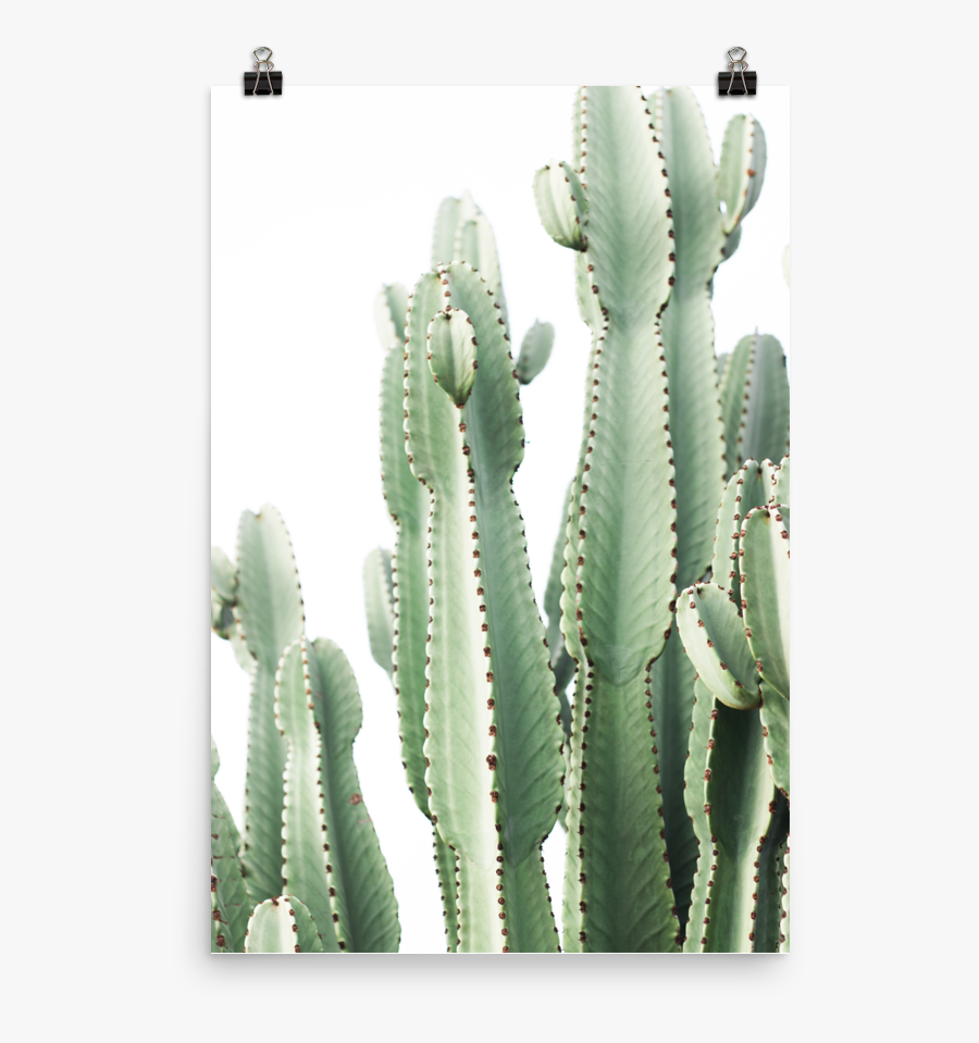 Transparent Pastel Goth Png - Cactus, Transparent Clipart