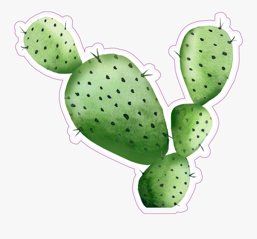 Sharp Watercolor Cactus Sticker - Pintura De Nopales En Pared, Transparent Clipart
