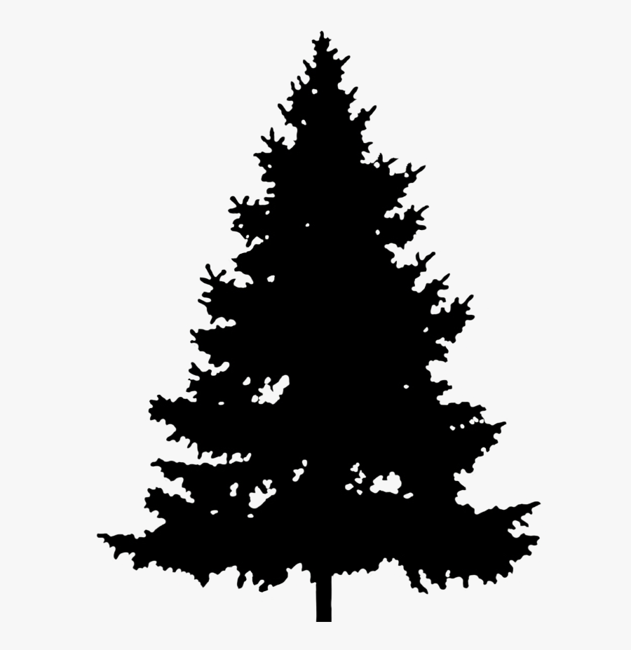 Black Silhouette Of Christmas Tree - Pine Tree Silhouette Free, Transparent Clipart