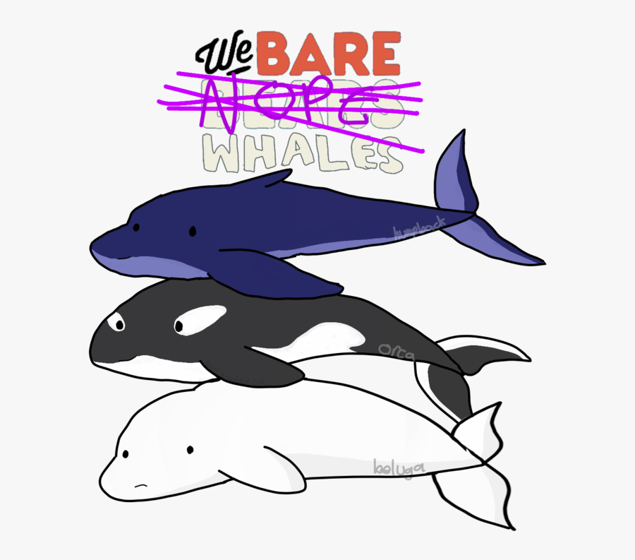 We Bare Bears Orca, Transparent Clipart