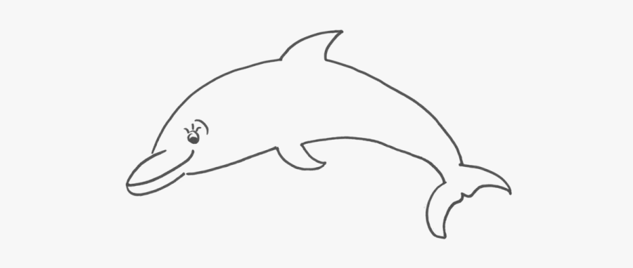 Common Bottlenose Dolphin, Transparent Clipart