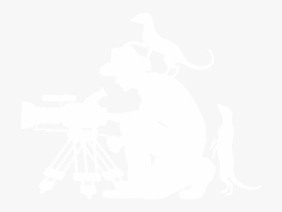 Wildlife Observations, Transparent Clipart