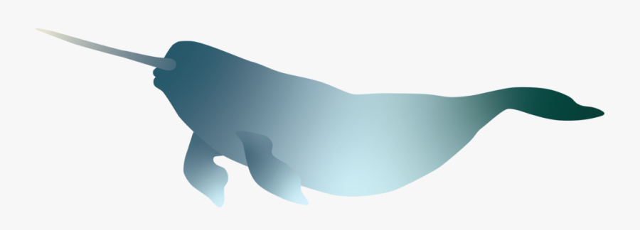 Narwhal - Whale, Transparent Clipart