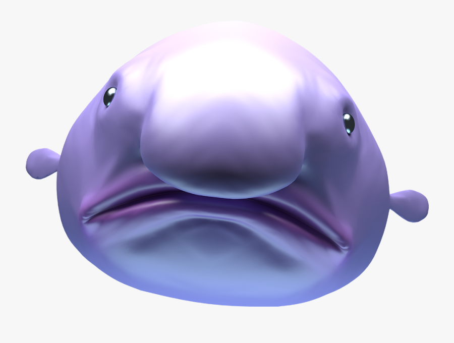 Png Image Of A Momona - Shark, Transparent Clipart