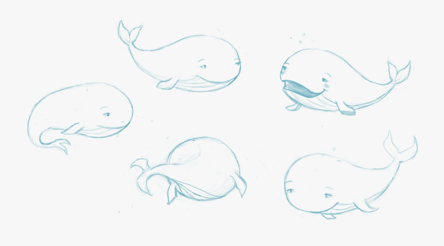 Sketch, Transparent Clipart