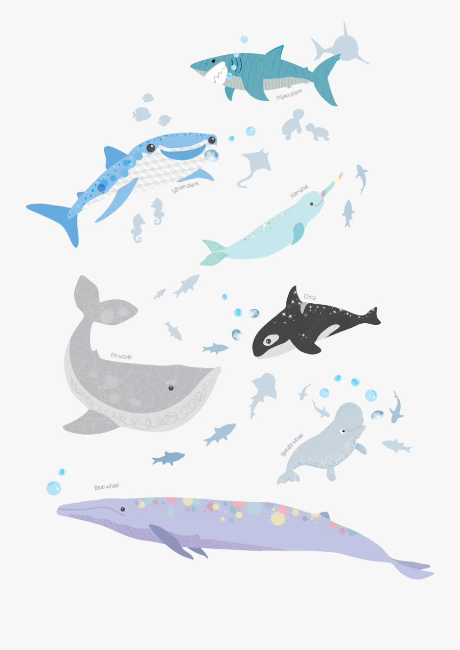 Decal, Transparent Clipart