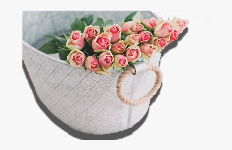 Pink Rose Flower Background Hd Rose , Png Download - Życzenia Imieninowe Dla Karoliny, Transparent Clipart