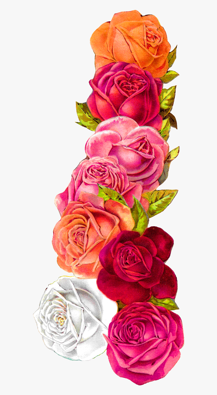 Border Design For Scrapbook, Transparent Clipart
