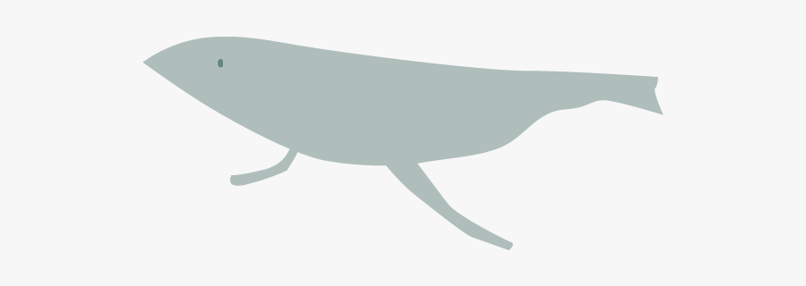 Humpback Whale, Transparent Clipart