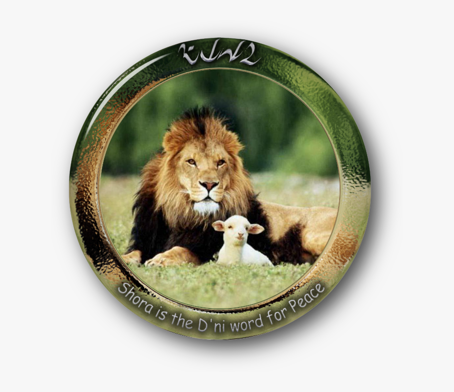 The Lamb And Lion Sheep Leopard Lamb And Mutton - Lion And The Lamb Christian, Transparent Clipart