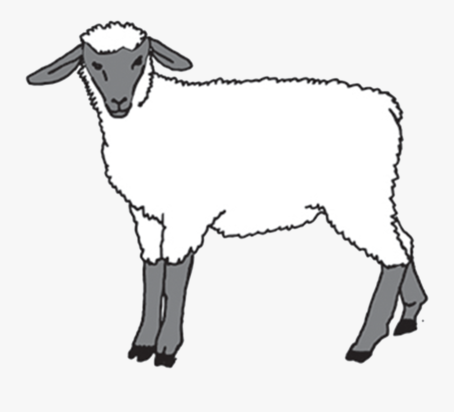 Goat, Transparent Clipart