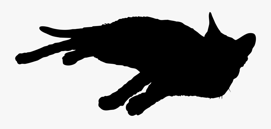 Black Cat Whiskers Silhouette Sticker - Illustration, Transparent Clipart