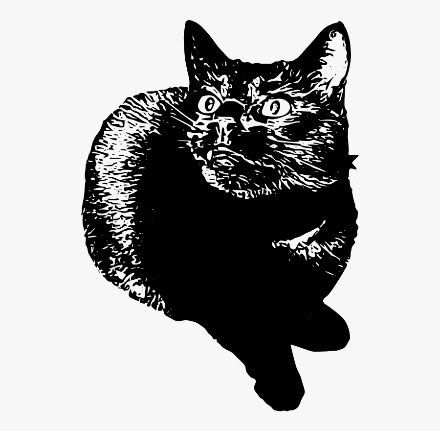 Domestic Short Haired Cat,snout,monochrome, Transparent Clipart