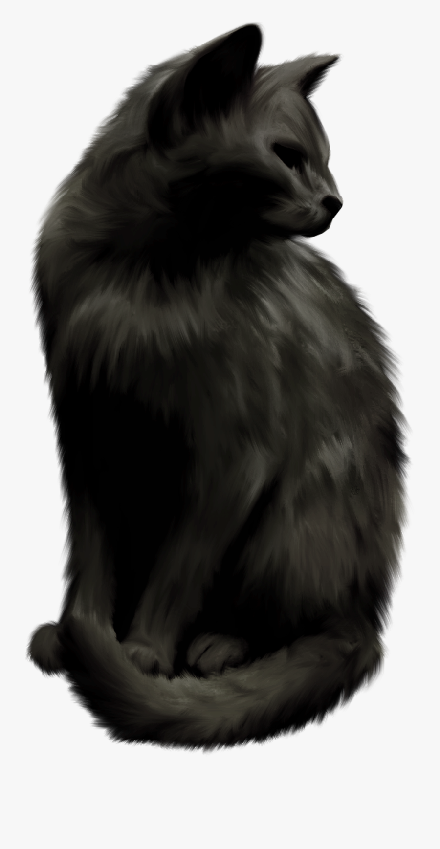 Clip Art Black And White Norwegian Forest Cat - Chat Noir De Sorciere Png, Transparent Clipart