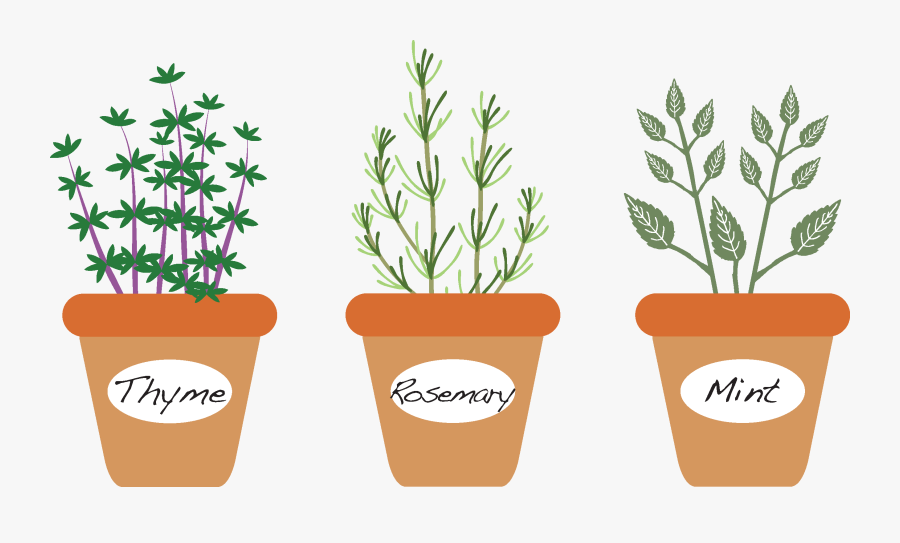 Clip Art How To Grow Cook - Flowerpot, Transparent Clipart