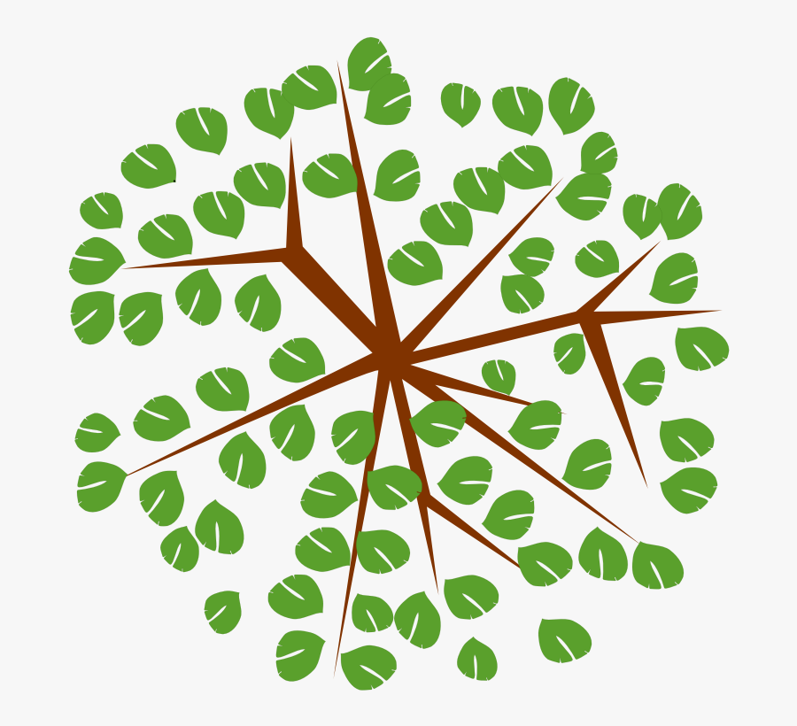 Tree Top View Icon Png , Transparent Cartoons - Cartoon Tree From Top, Transparent Clipart