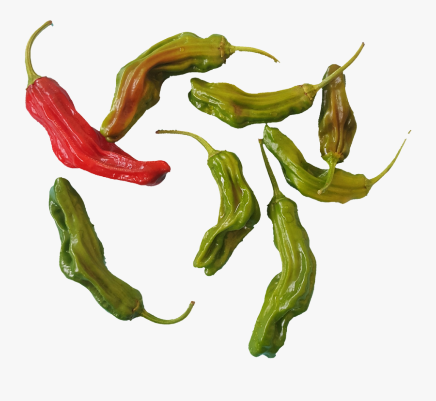1531937342226 - Bird's Eye Chili, Transparent Clipart