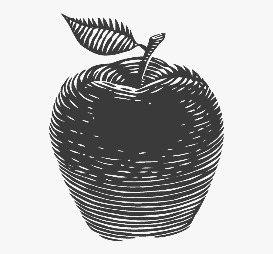 Original Fuji Apple - Apple Sketch Png, Transparent Clipart